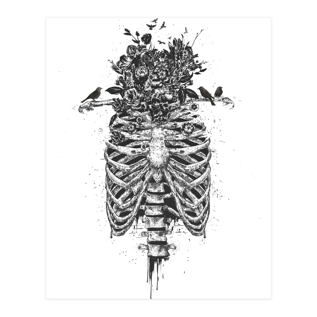 Tree Of Life (Print Only)