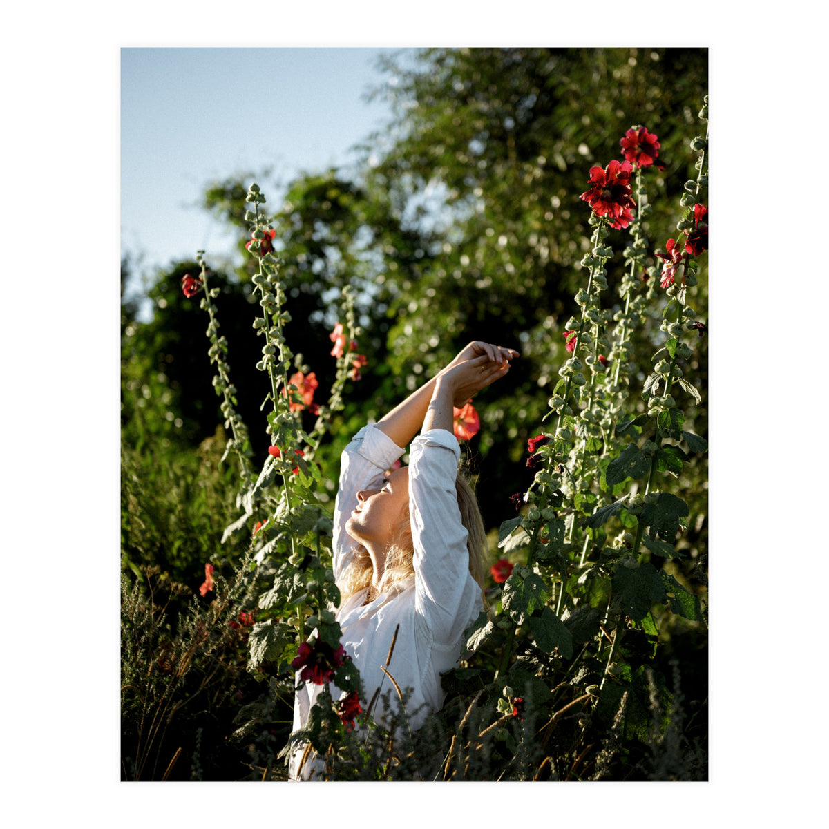 Flowers between Flowers (Print Only)