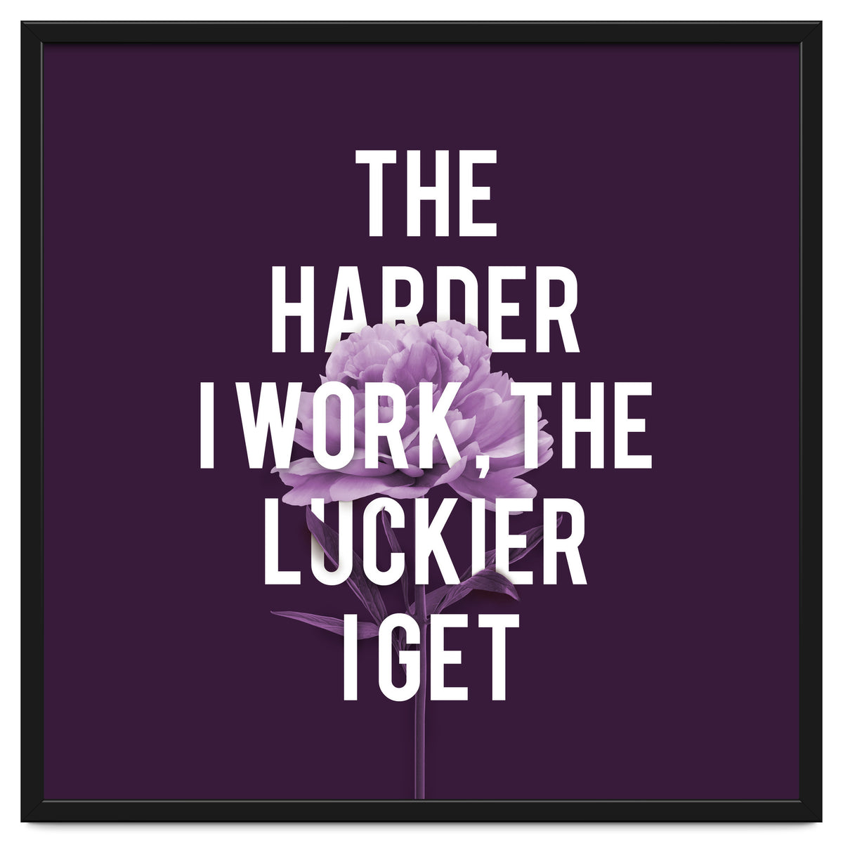 Work Hard Be Lucky