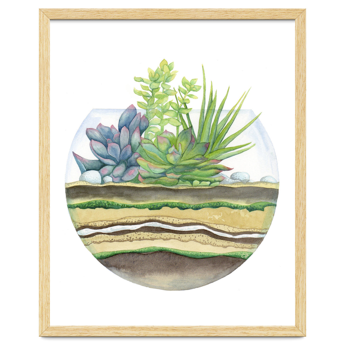 A Little Green Terrarium