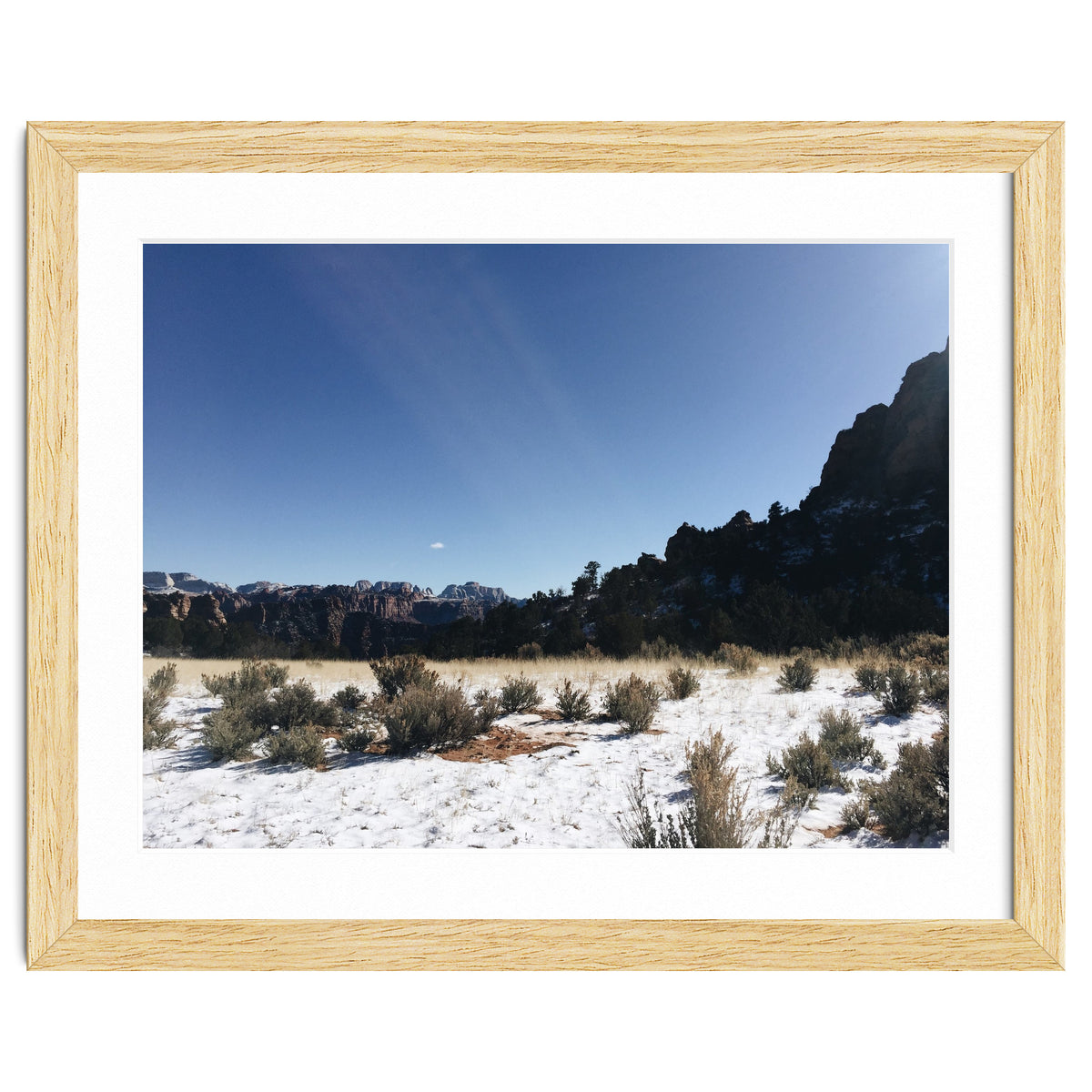 Zion National Park II