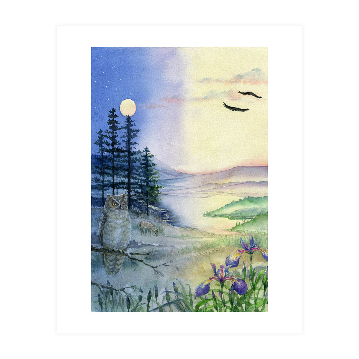 Owl & Twilight (Print Only)