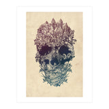 Skull Floral  (Print Only) thumbnail