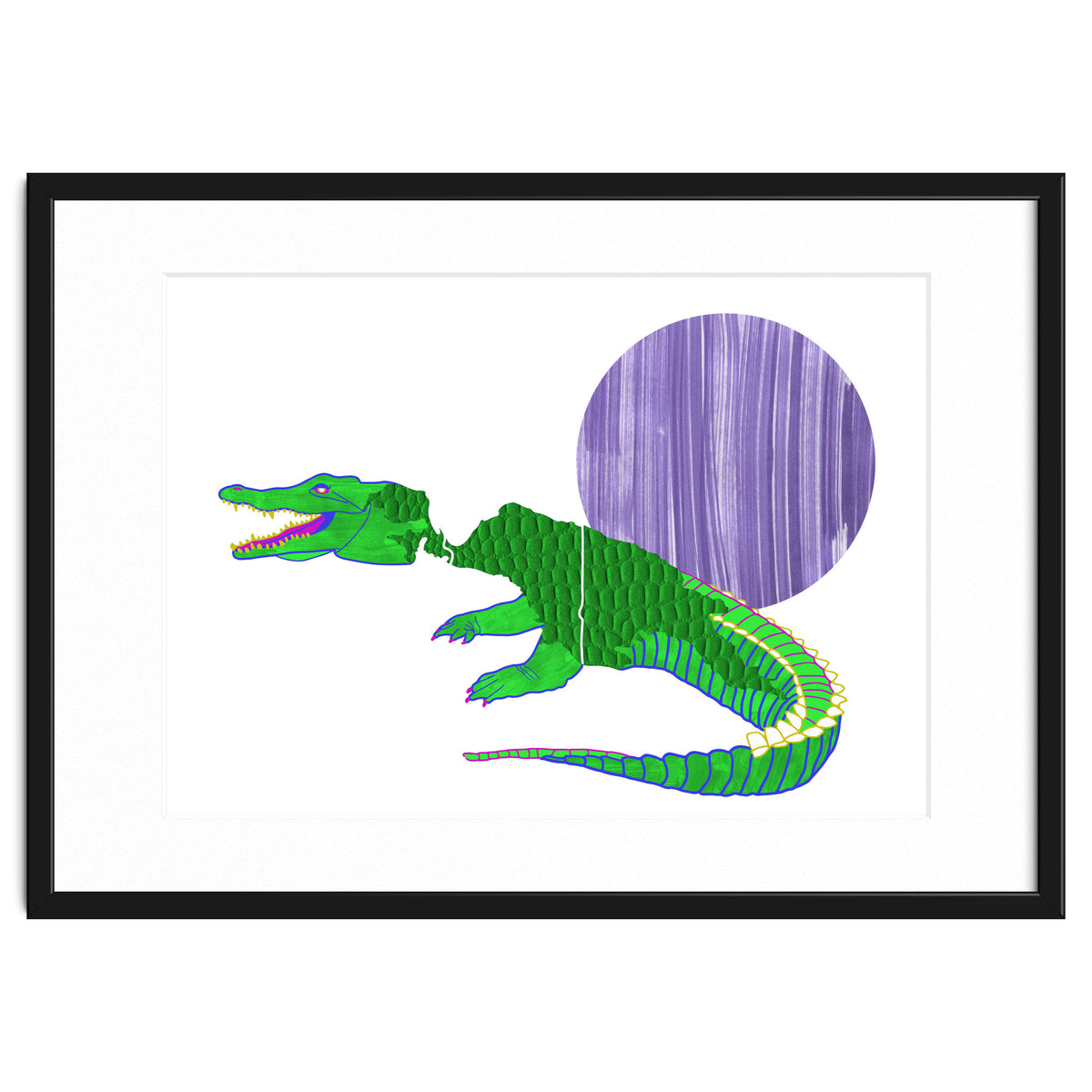 New Guinea Crocodile