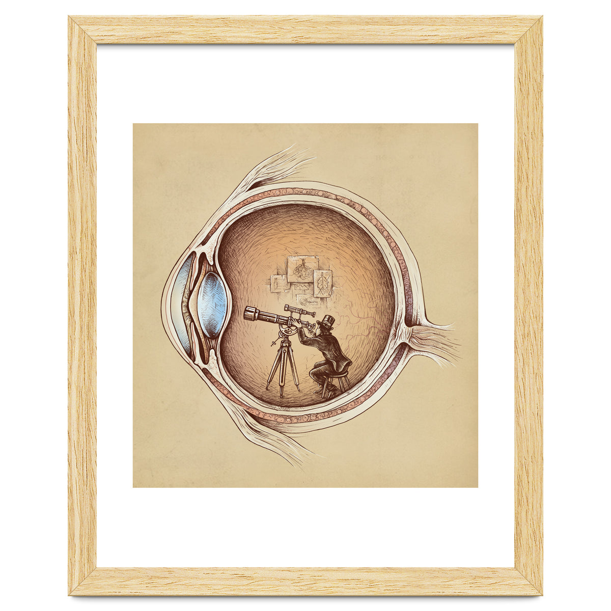 Extraordinary Observer