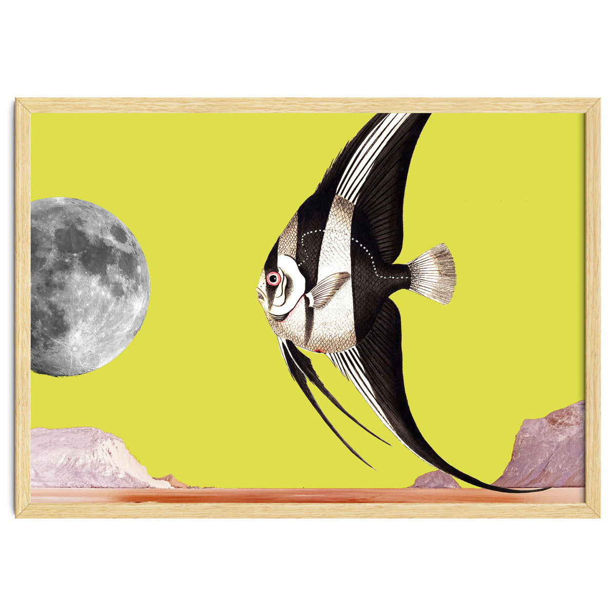 Plenty of fish in the sea yellow