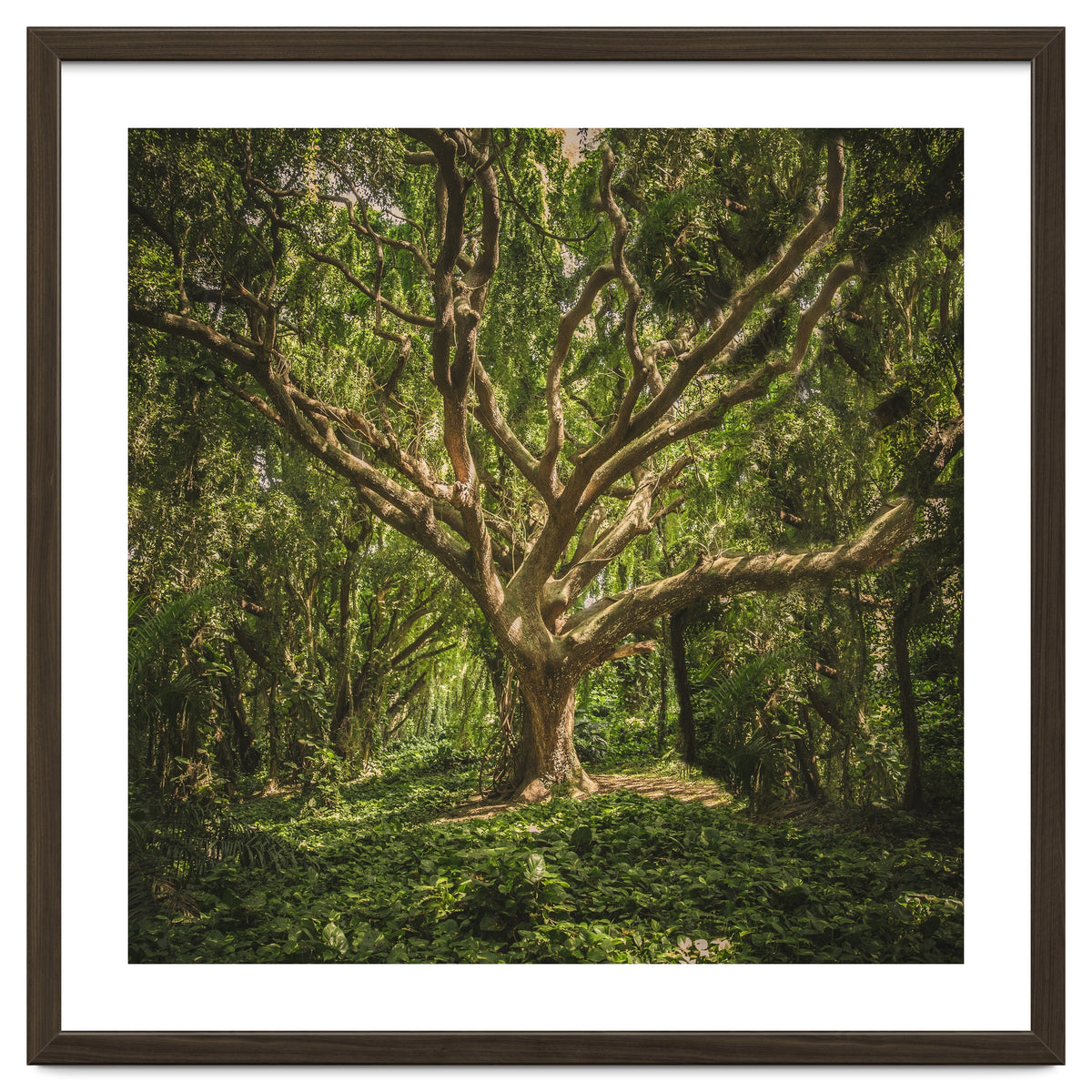 Spirits inside the wood