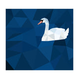 Swan In Water Artwork (Print Only) thumbnail