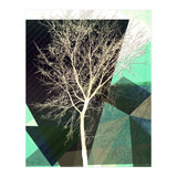LONELY TREE I Portrait (Print Only) thumbnail