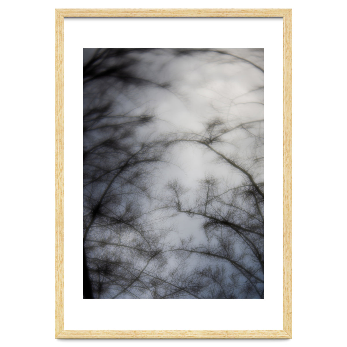 Forgotten Memories of Summer #16