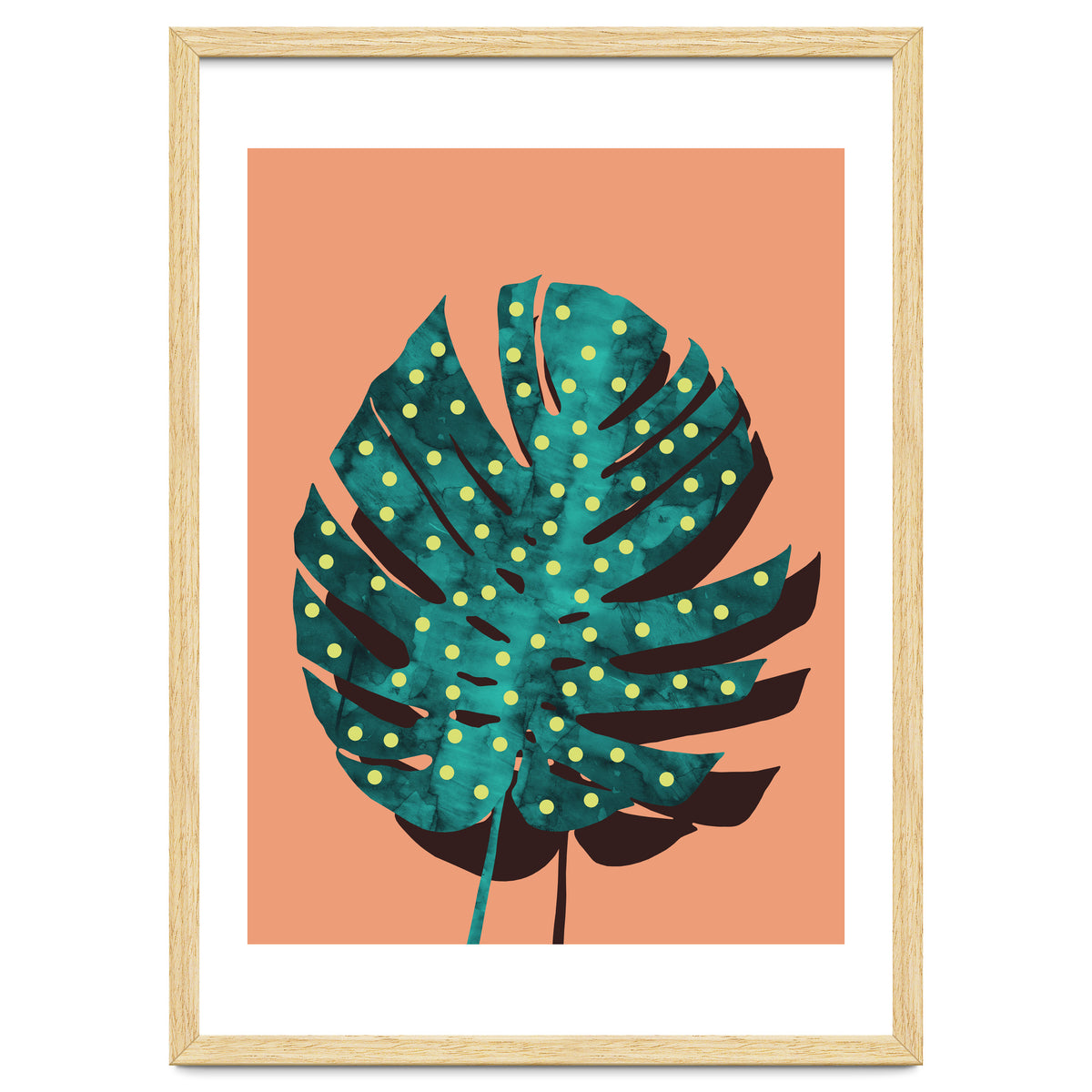 Monstera Deliciosa IV