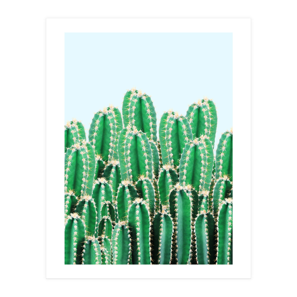 Kaktos II (Print Only)