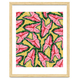 Caladium, Botanical Tropical Nature Plants, Vintage Bohemian Exotic Blush Leaves thumbnail