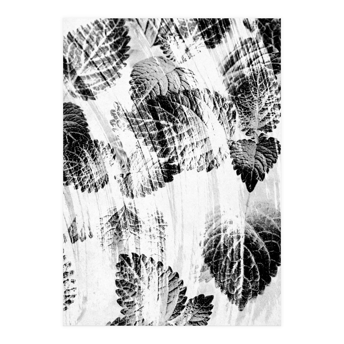 Raining Forest No6 (Print Only)