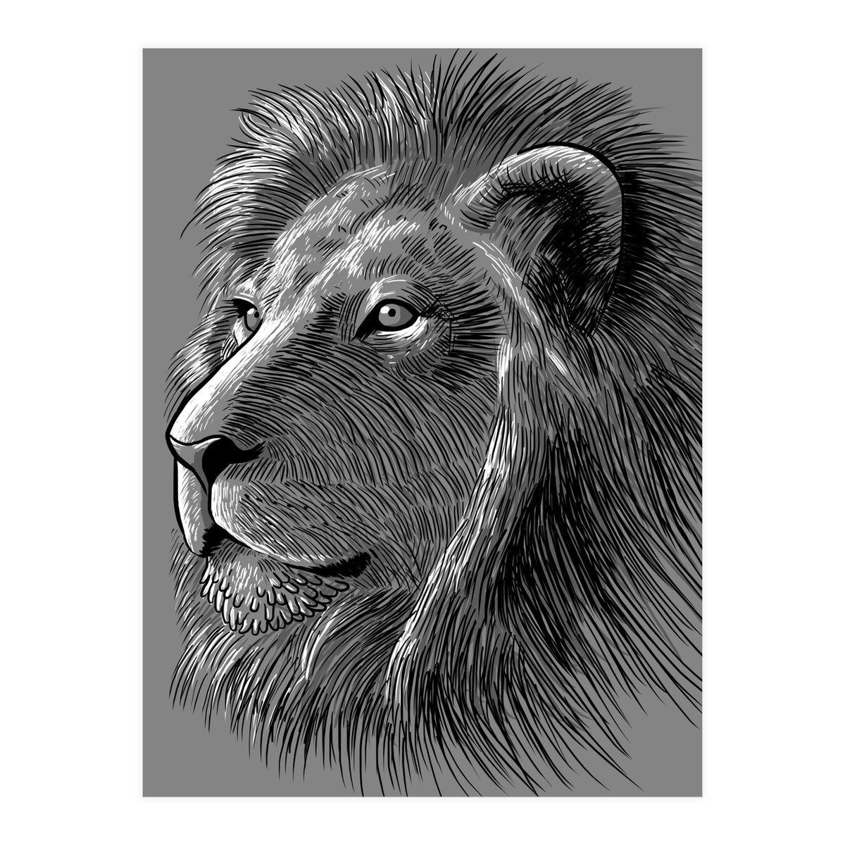 Sketch Lion (Print Only)