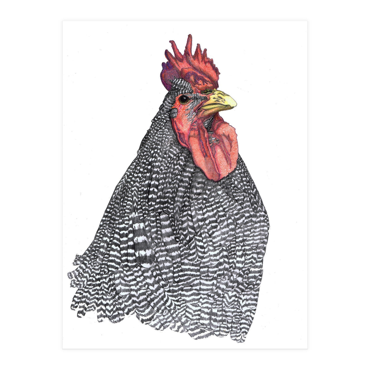 Chicken No.1 (Print Only)