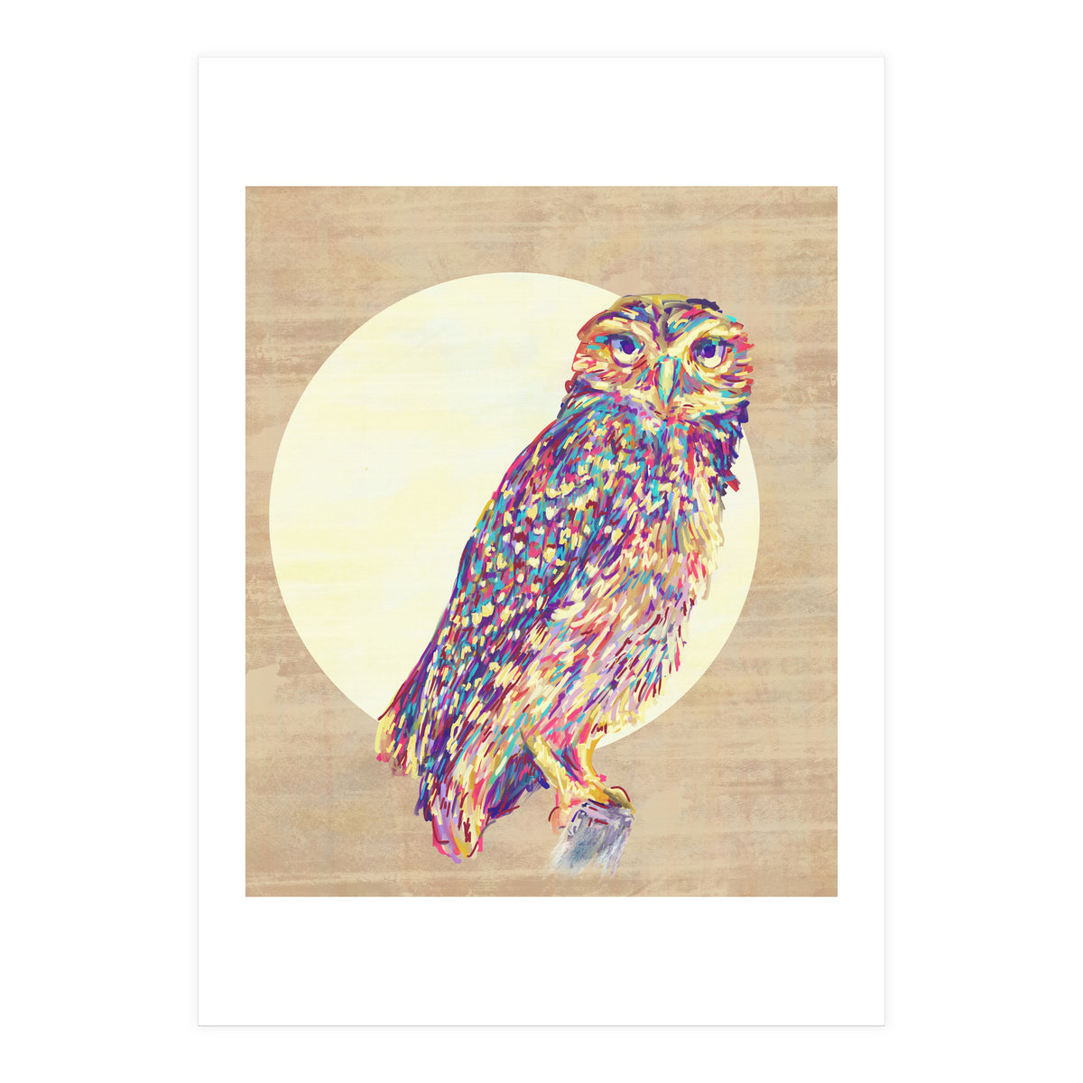 Owl (Print Only)