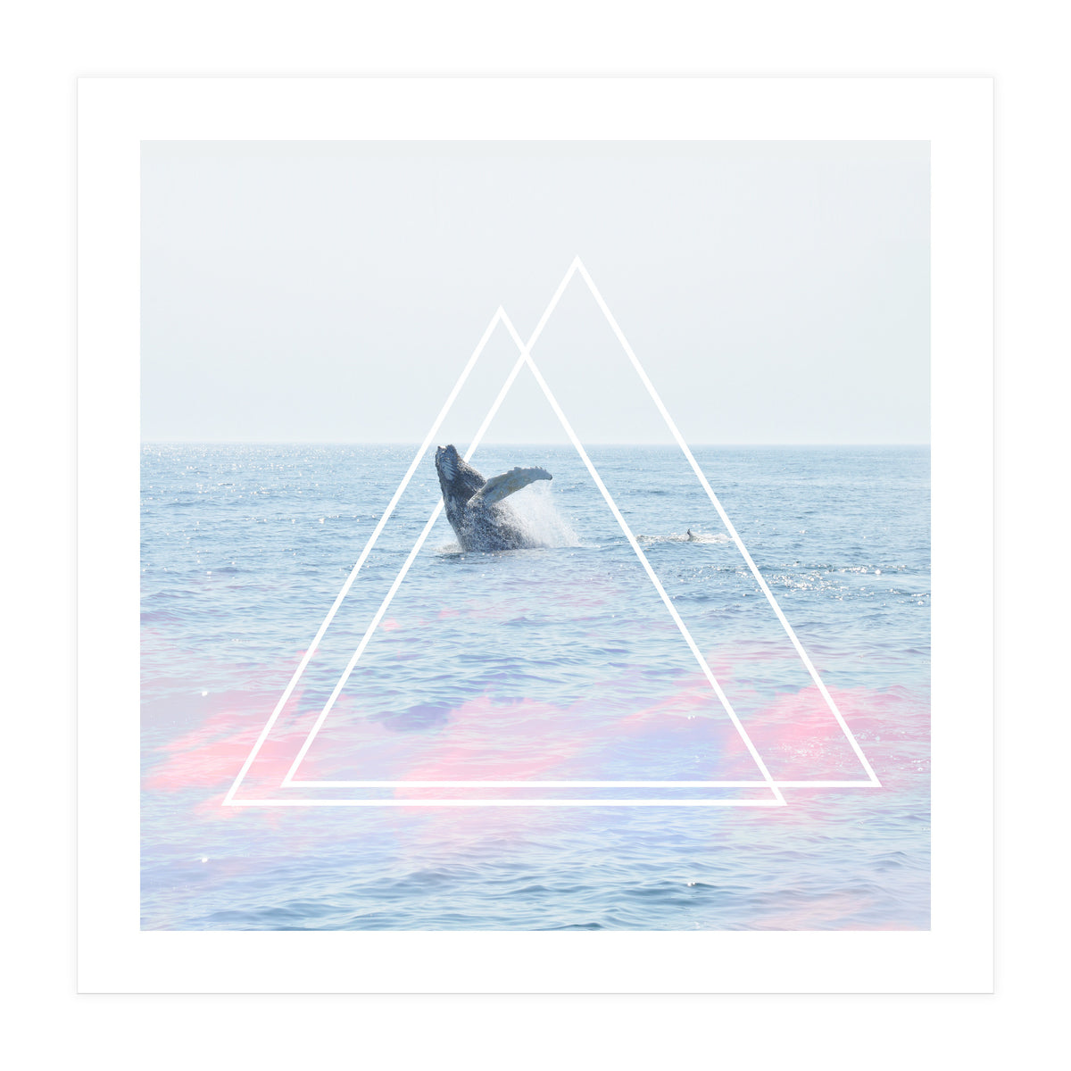 Whale of a Time (Print Only)