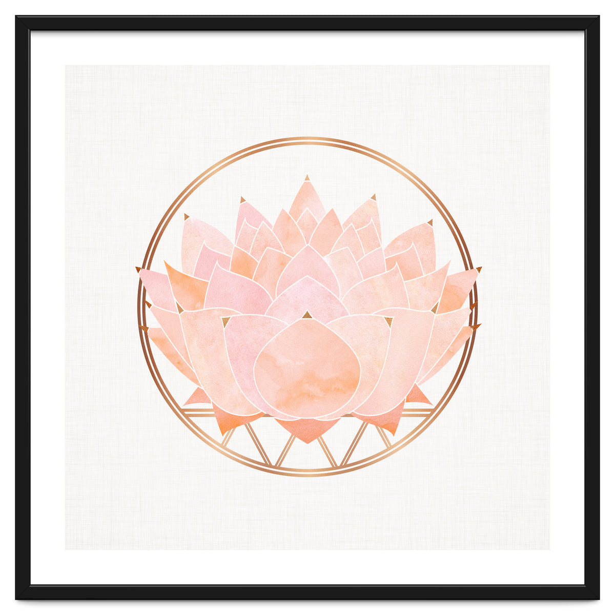 Peach Succulent  Blossom