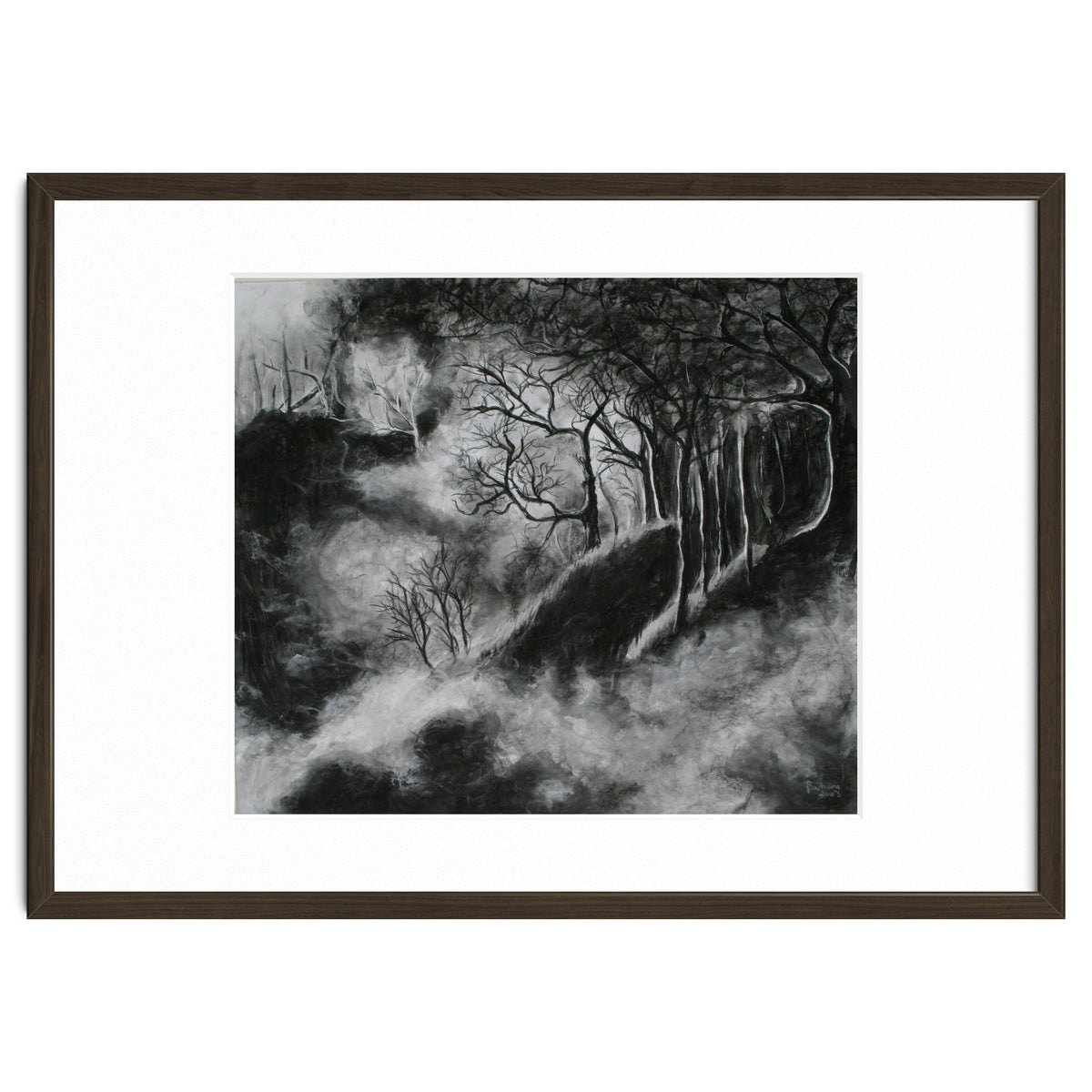 Black and White Forest in Clouds