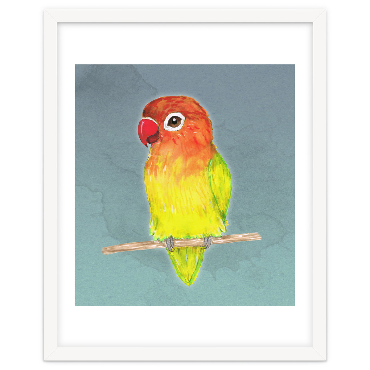 Cute yellow Fischer's lovebird