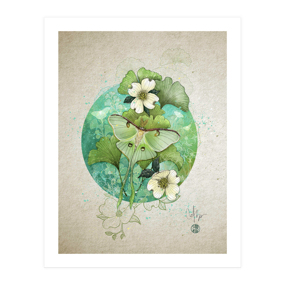 Luna Moth  (Print Only)