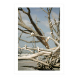 Seashells And Driftwood  (Print Only) thumbnail