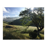 Henry Coe I (Print Only) thumbnail