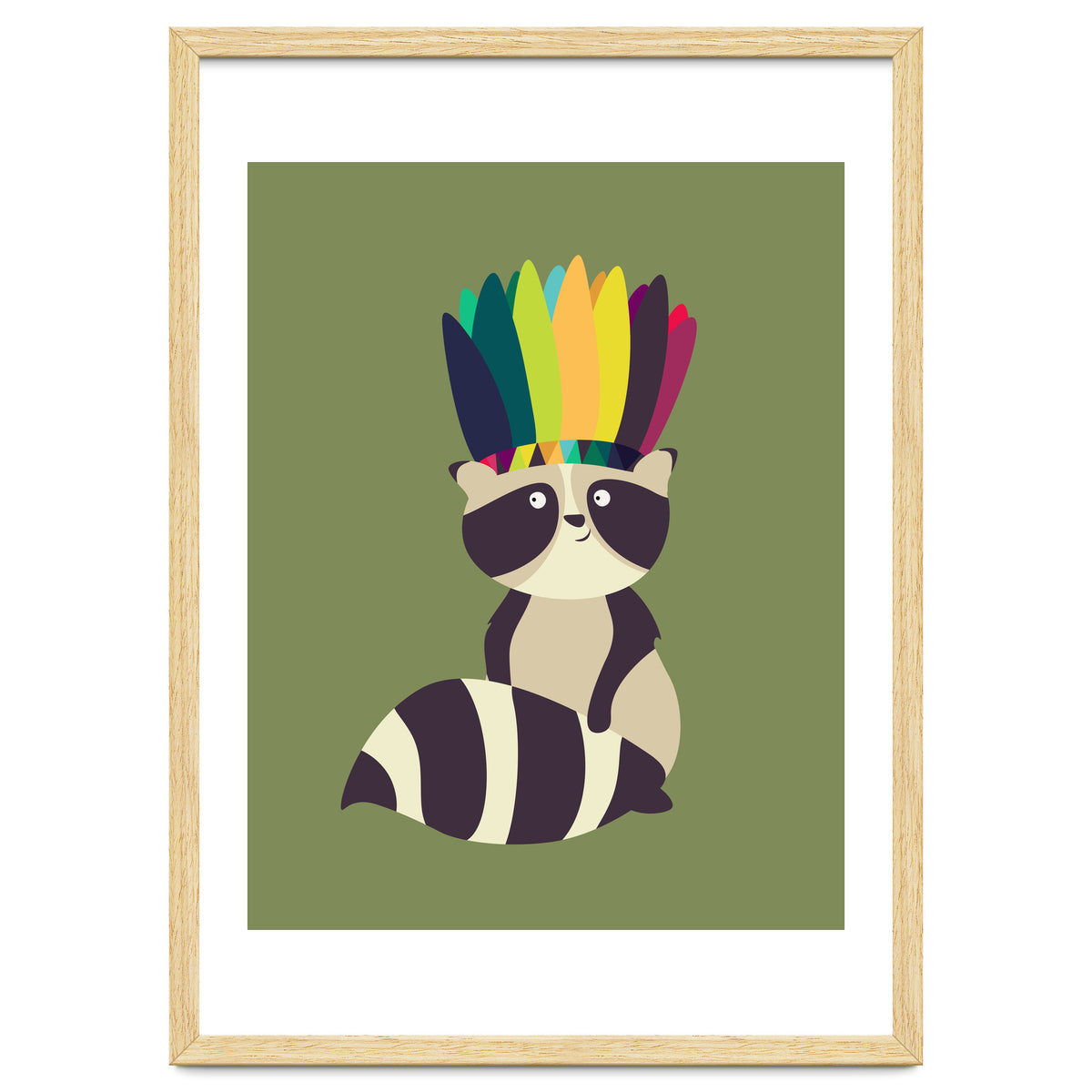 Indian Raccoon