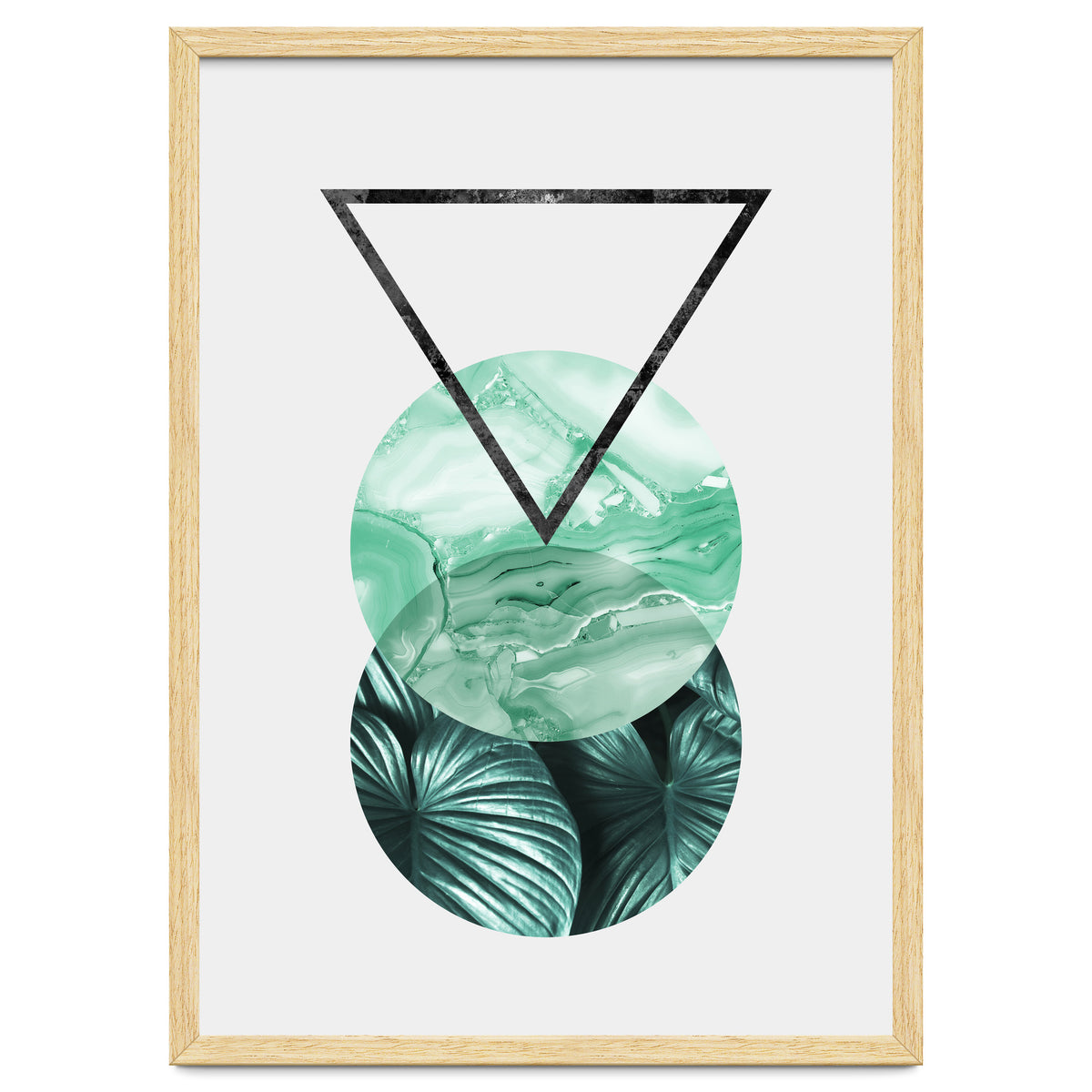 Botanical and geometric II