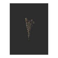Moody Golden Botanicals (Print Only)