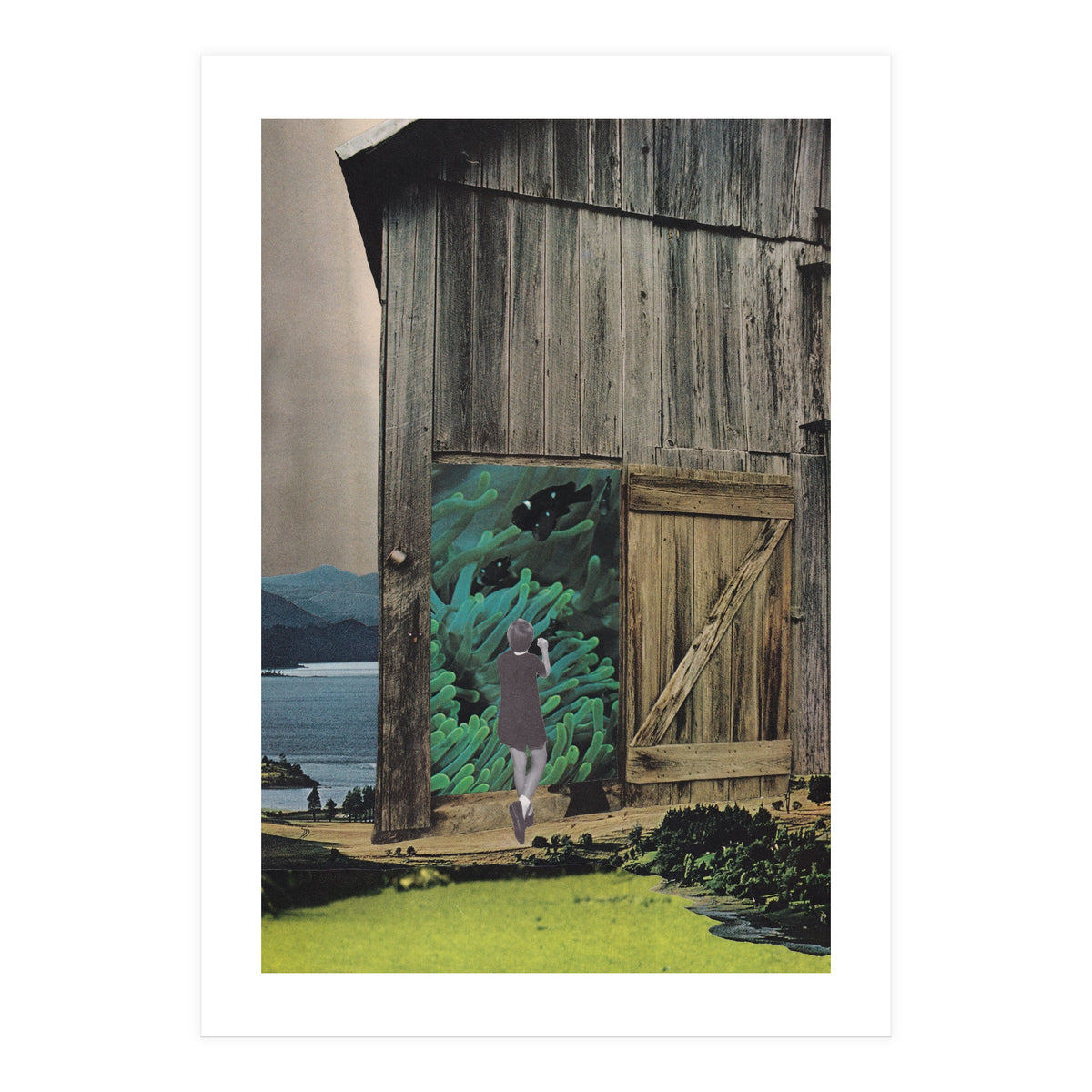 Aquarium (Print Only)