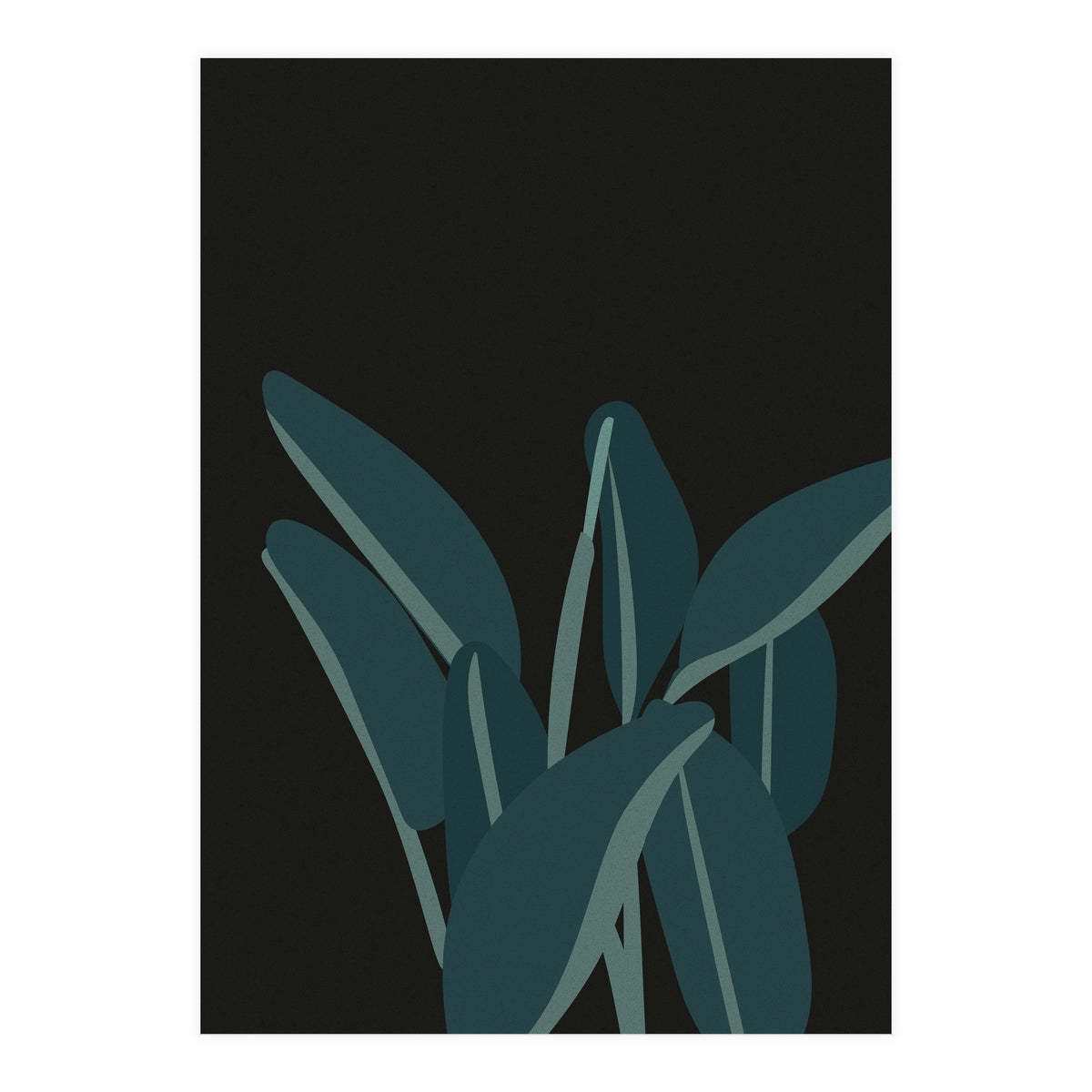 Bird Of Paradise (Print Only)