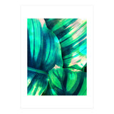 Moksha (Print Only) thumbnail