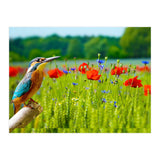 Bird and flower (Print Only) thumbnail