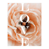 Love (Print Only) thumbnail