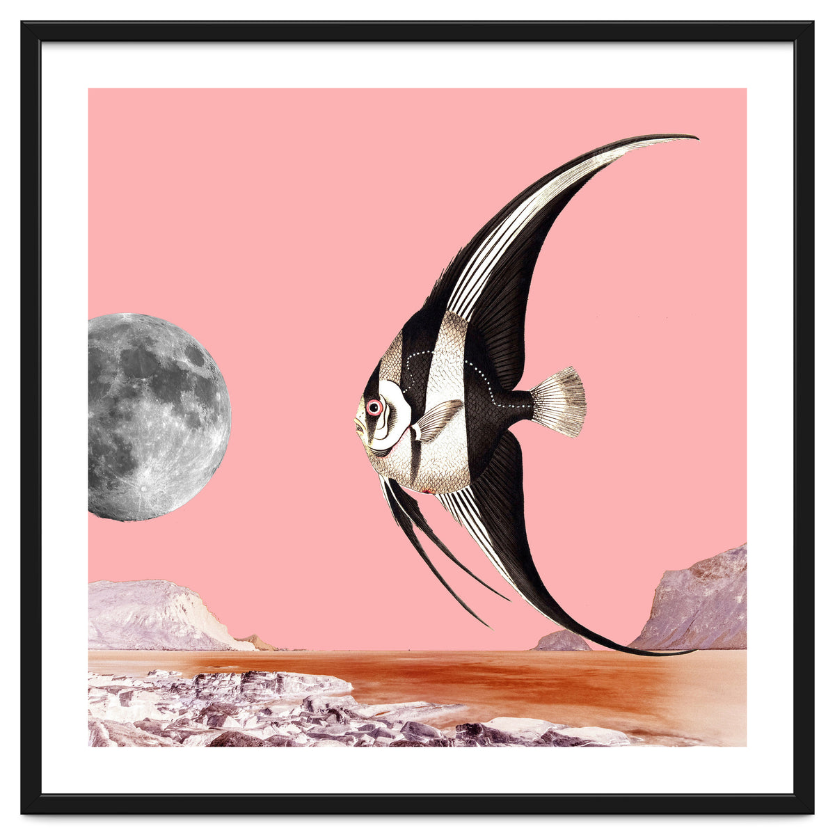 Plenty Of Fish In The Sea Pink