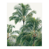 Lush Palm Trees (Print Only) thumbnail