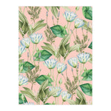 Lilyka (Print Only) thumbnail