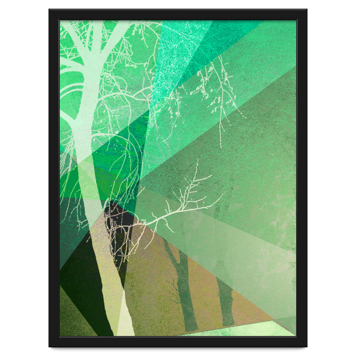 P22-B6 Trees And Triangles