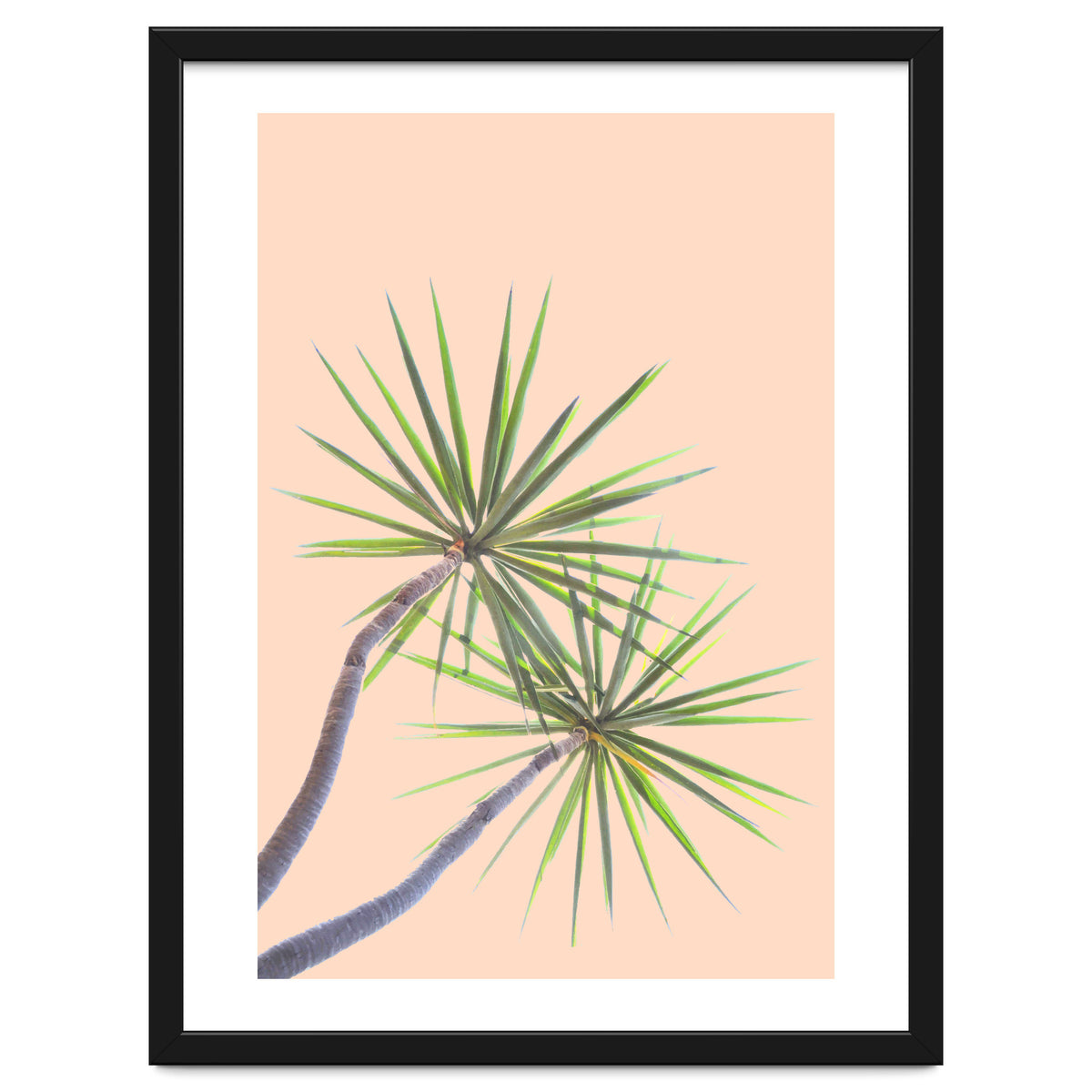 Tropical Serenity | Botanical Nature Plants | Boho Jungle Floral Garden | Watercolor Palm Painting