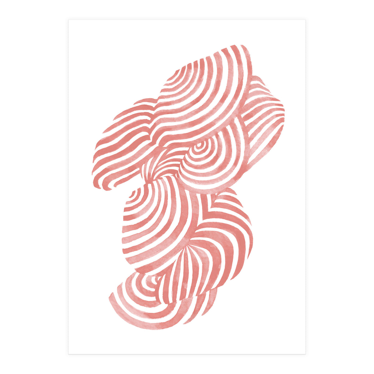 Seashells (Print Only)