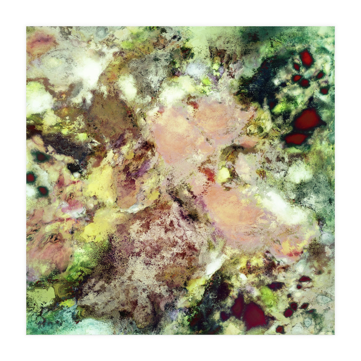 Sugar Coated (Print Only)