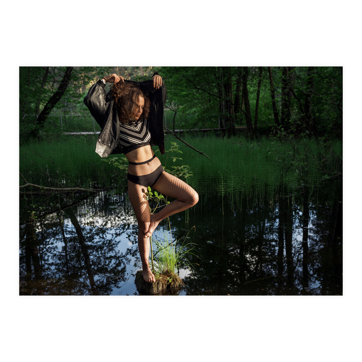 Swamp Swan (Print Only)