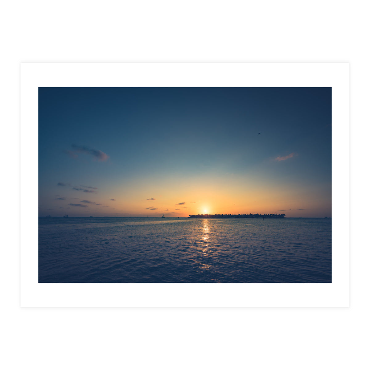 B'dazzled Blue (Print Only)