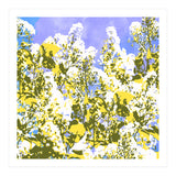 The Contrast Of Desire (Print Only) thumbnail