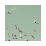 Mint Skies (Print Only) thumbnail
