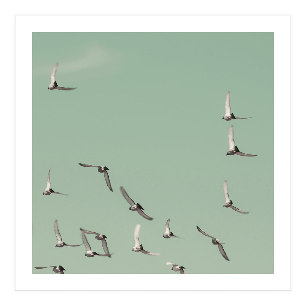 Mint Skies (Print Only)