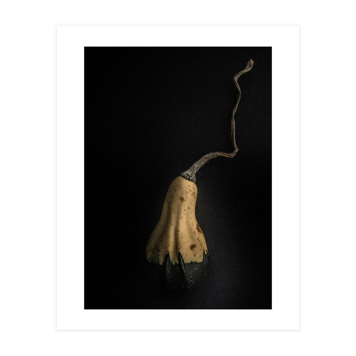 Gourds No 12 Color Version (Print Only)