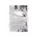 Swan (Print Only) thumbnail